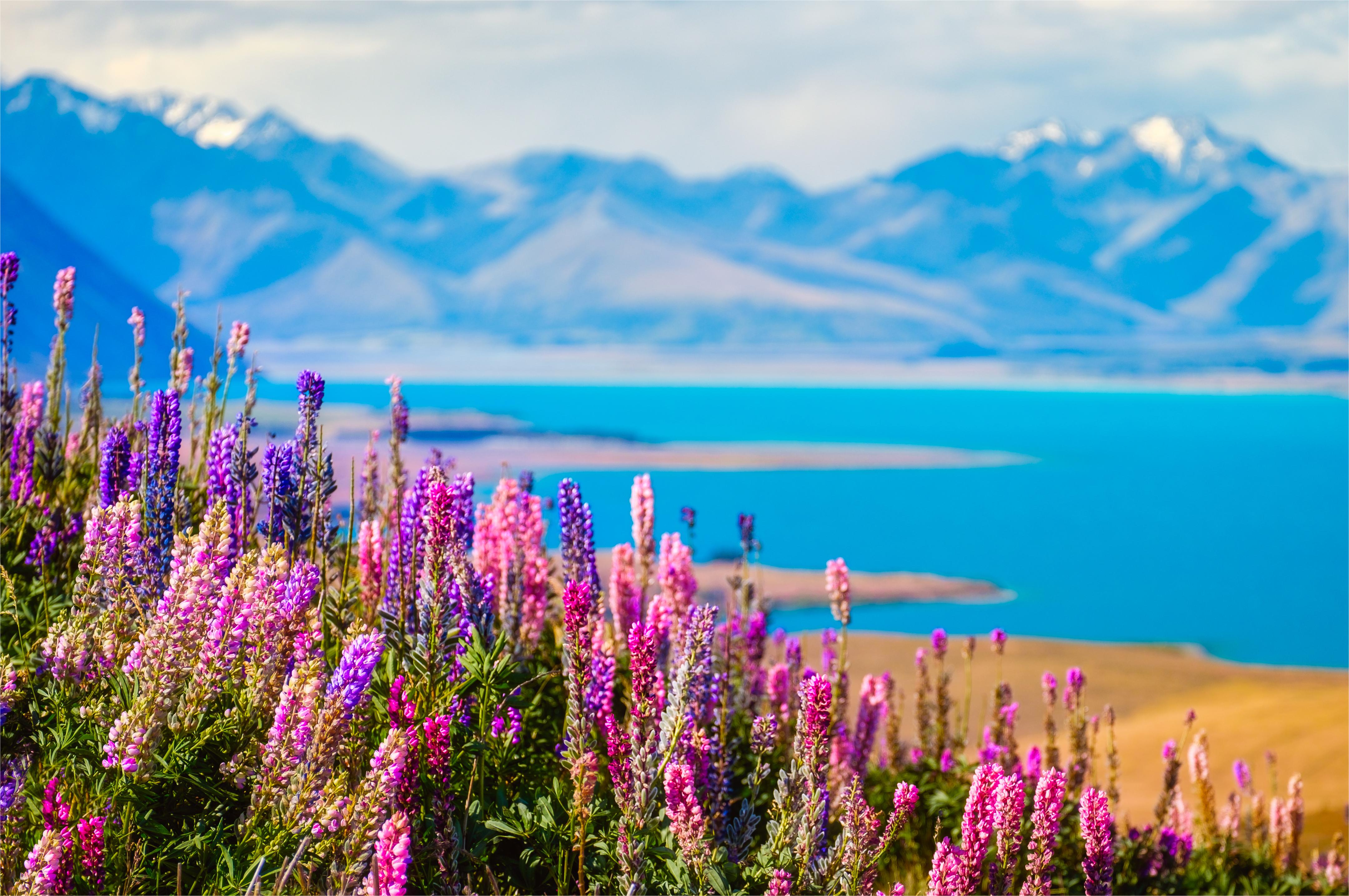6天纯净冰湖与璀璨星空新西兰南岛中线皇后镇连住3晚4钻酒店含tss蒸汽