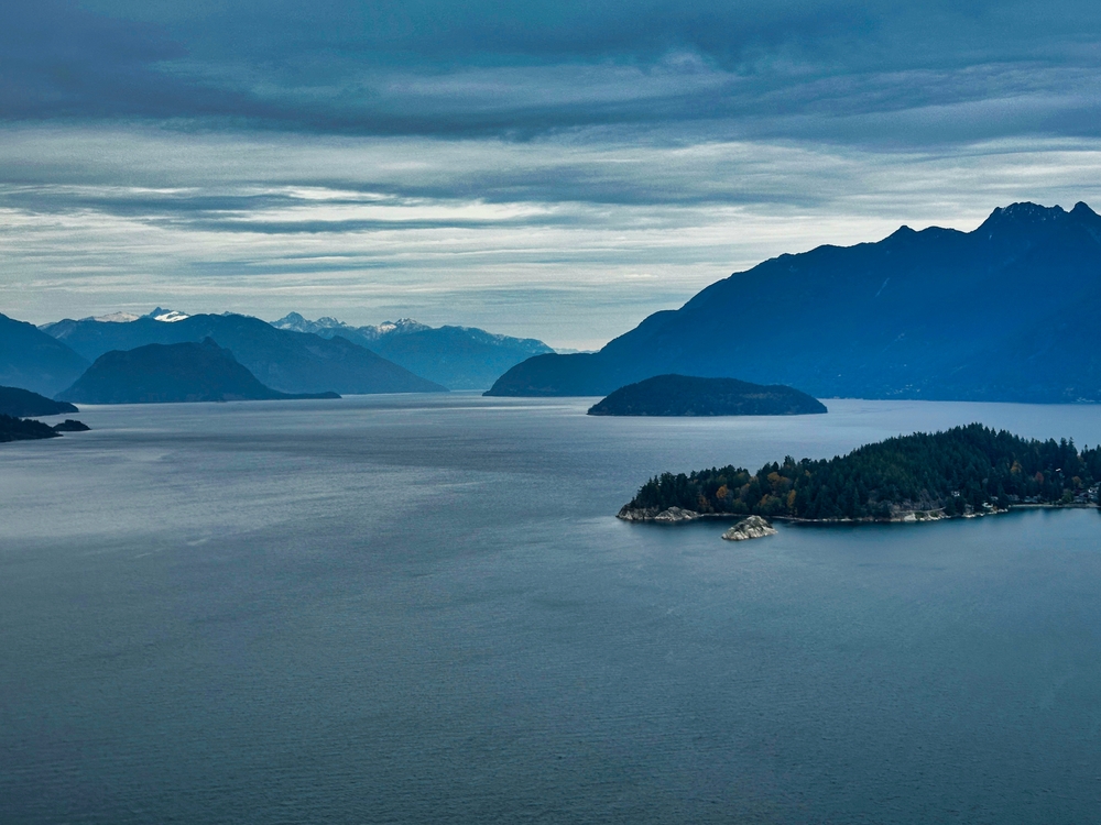 【Encounter the Wonderful Ocean World】Vancouver Half-Day Whale Watching Tour: Richmond to Salish Sea Roundtrip