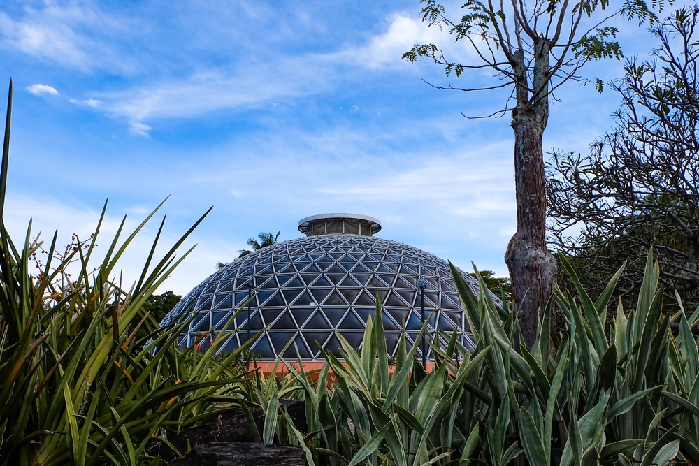 布里斯班植物园