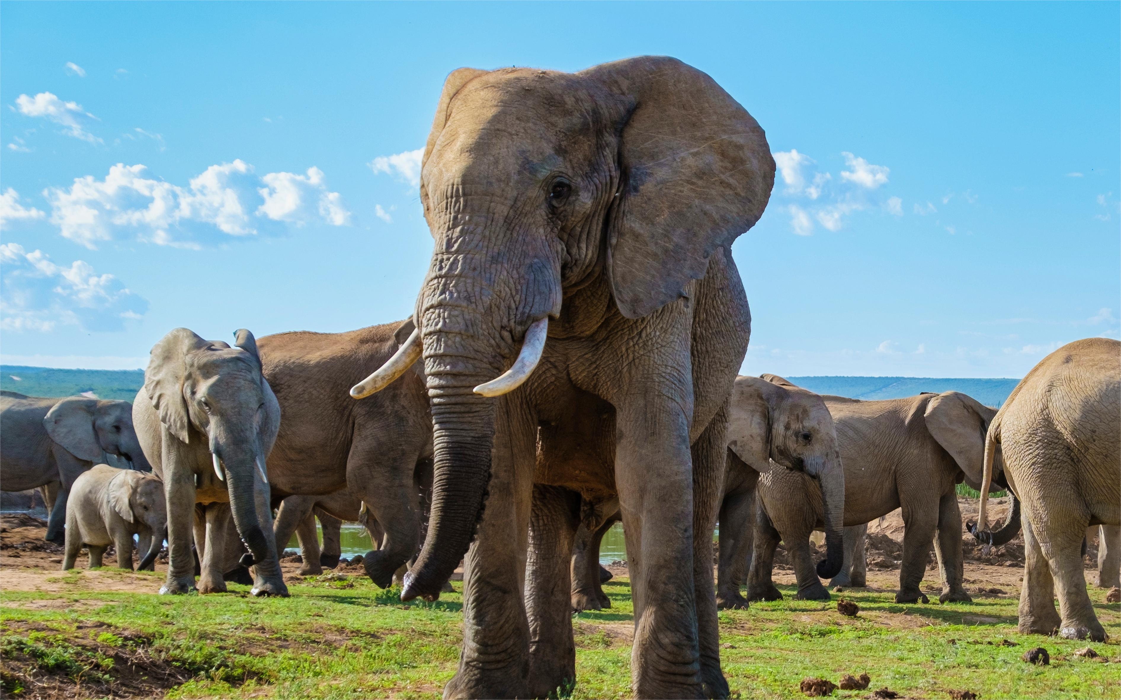 博茨瓦納馬翁+8