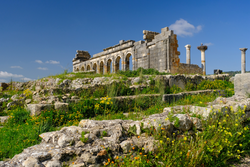 8-Day Mapping Morocco Tour from Casablanca: Rabat, Fez, Erfoud, Merzouga, Marrakech | Welcome Dinner/Farewell Dinner | Exclusive Small Group of 24 Pax