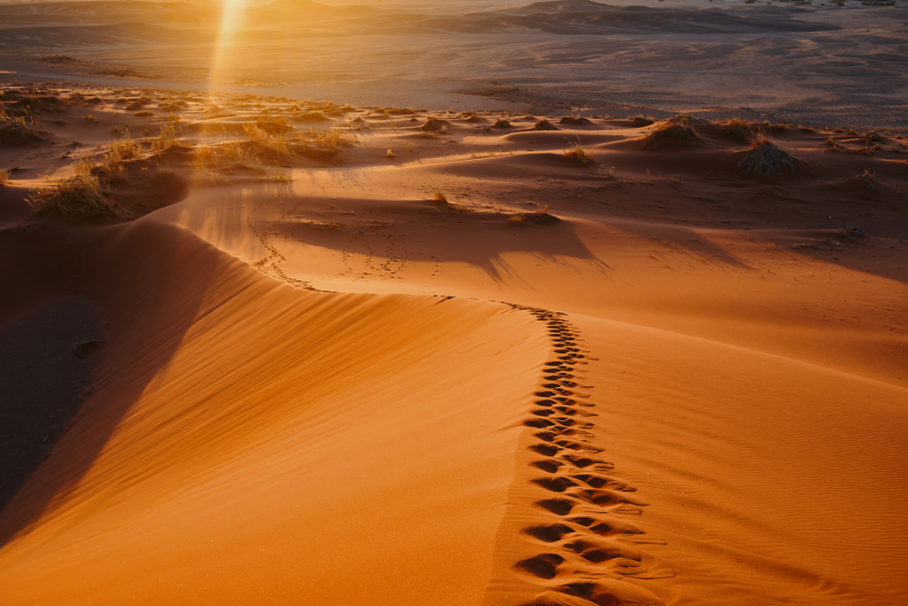 津巴布韦维多利亚瀑布城+6