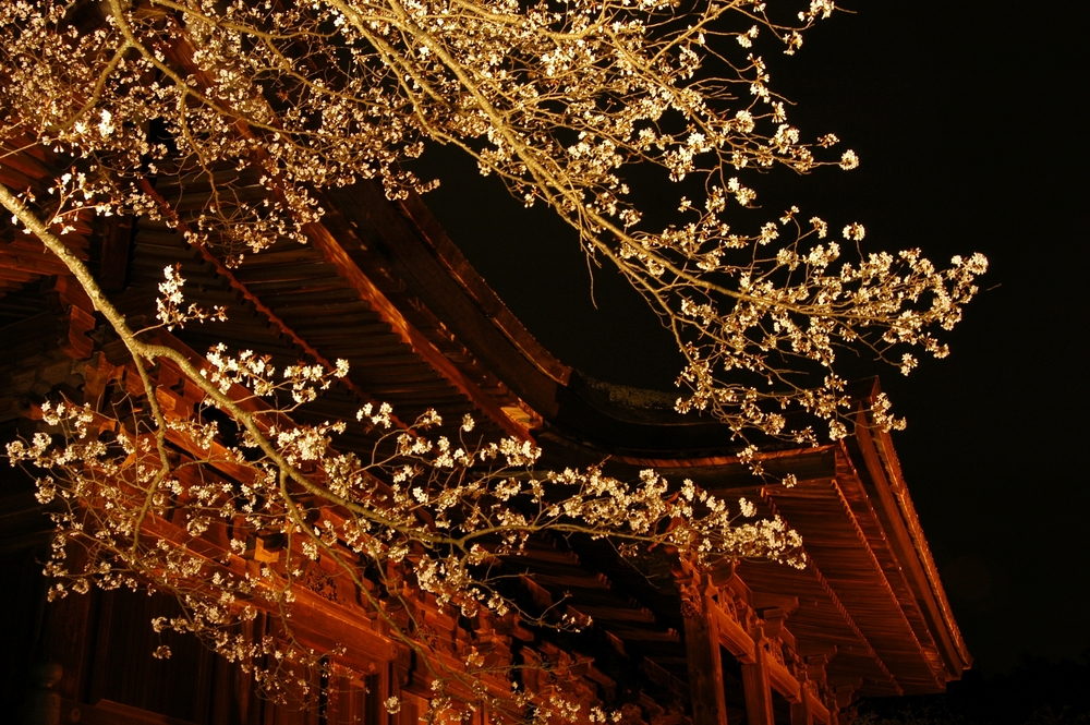 Mii-dera Temple Shakado