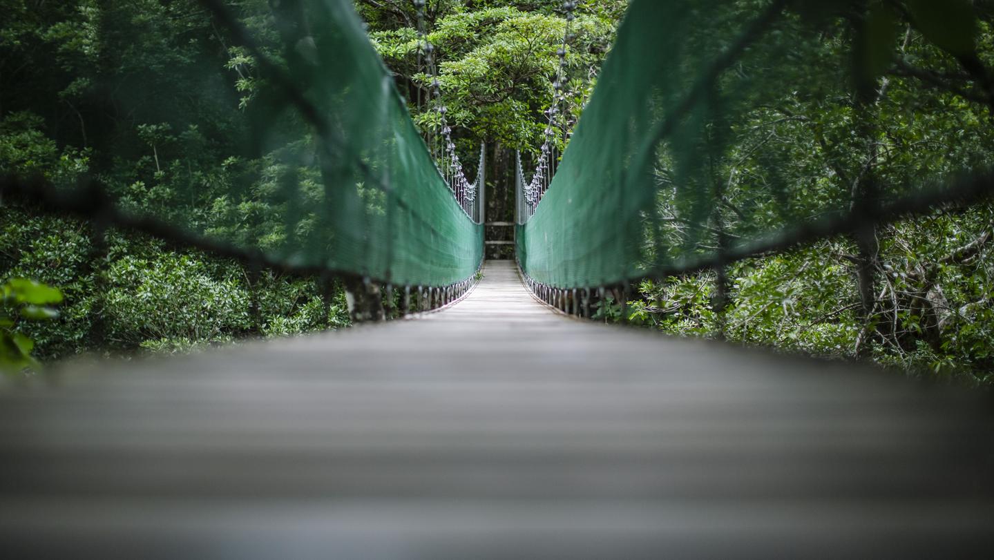 9-Day Costa Rica Family Experience Tour from San Jose: La Fortuna, Monteverde and Manuel Antonio | Small Group Tour